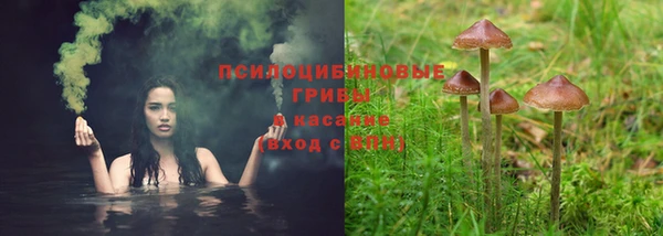 синтетический гашиш Пестово