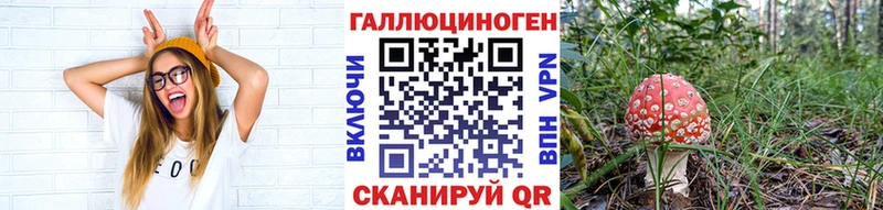 где найти наркотики  Ардатов  Псилоцибиновые грибы GOLDEN TEACHER 